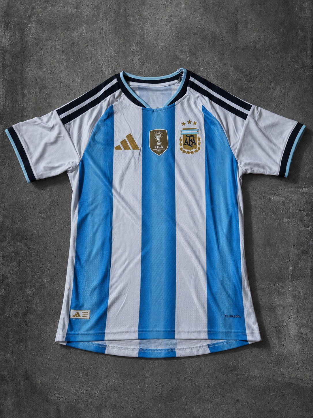 Argentina 2026 frente