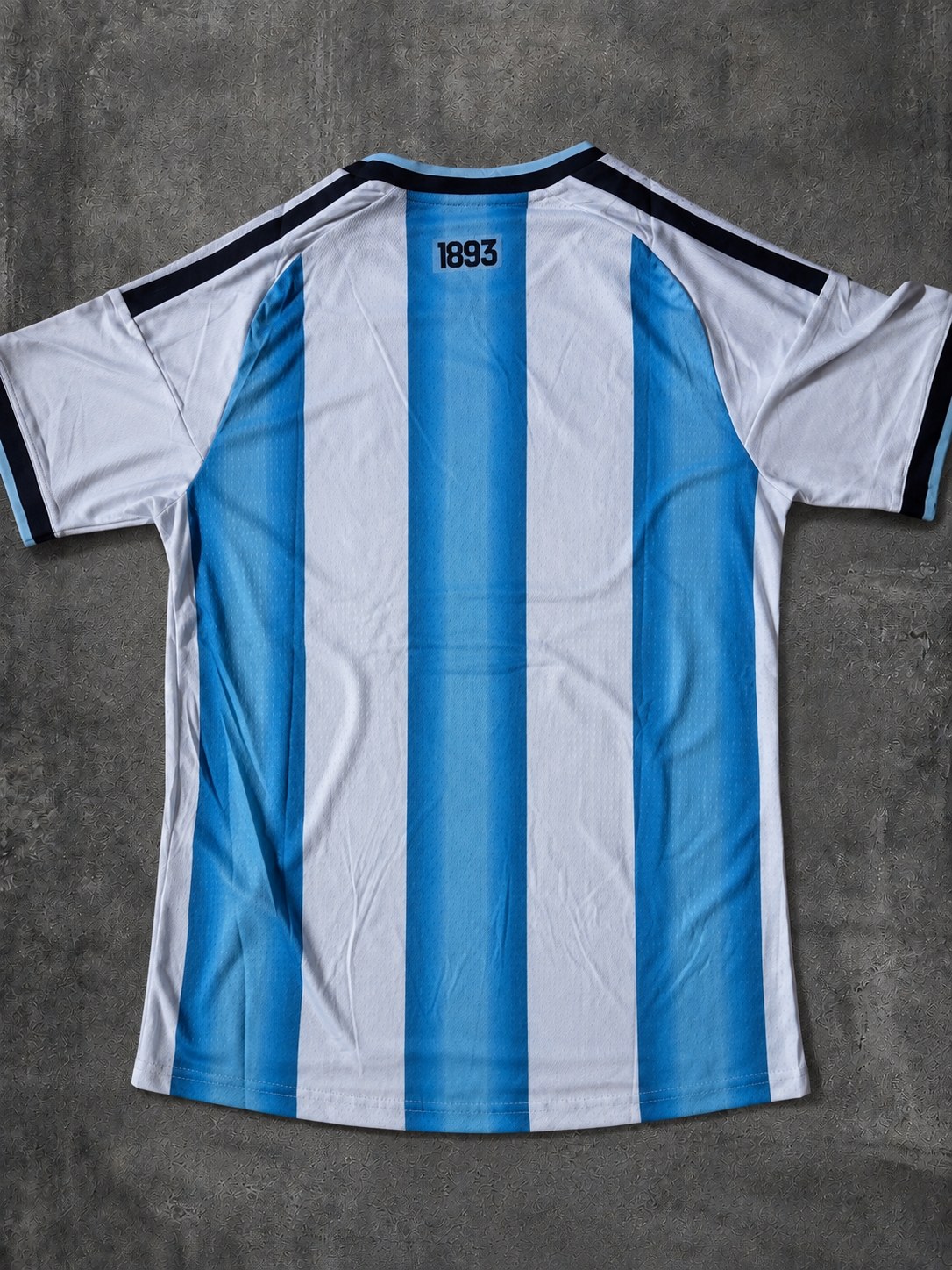 Argentina 2026 dorso